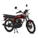 Siam Trender 150